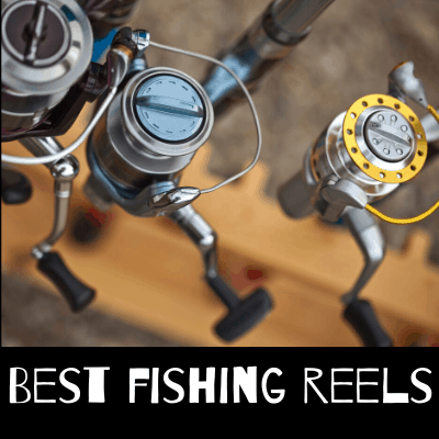 Best Fishing Reels